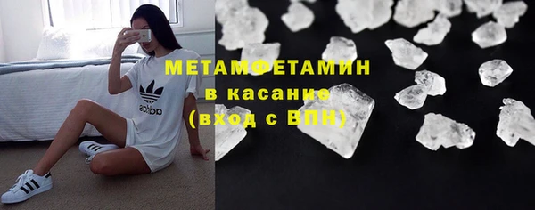 шишки Абаза