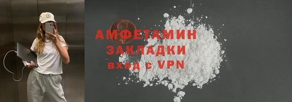 шишки Абаза
