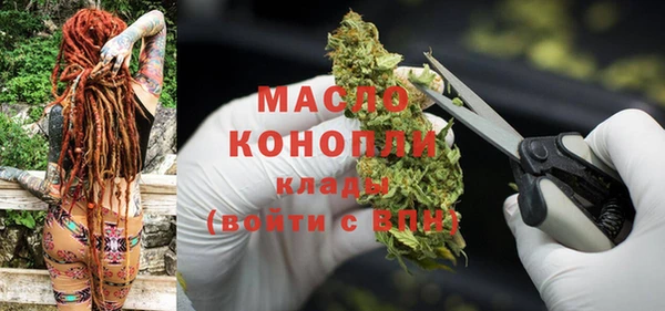 шишки Абаза