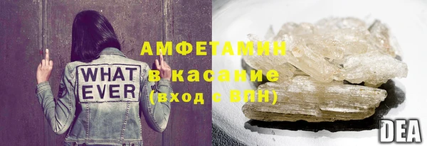 шишки Абаза