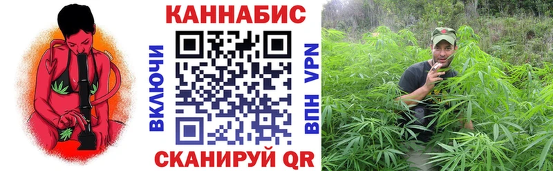Шишки марихуана сатива  Александров 